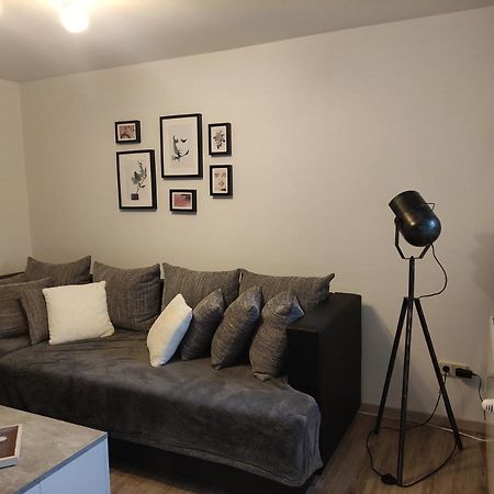 Zum Buchenblick Apartment Sankt Wendel Bagian luar foto